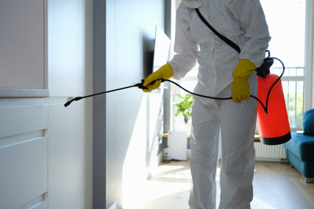 Best Mold Remediation for Specific Building Types in Jefferson, LA